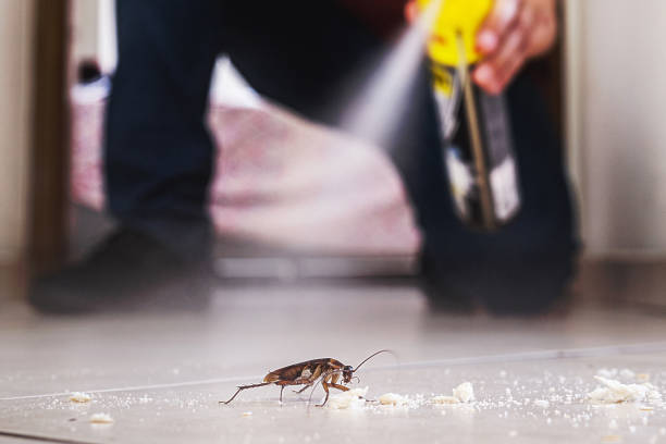 Pest Control for Restaurants in Williamston, NC